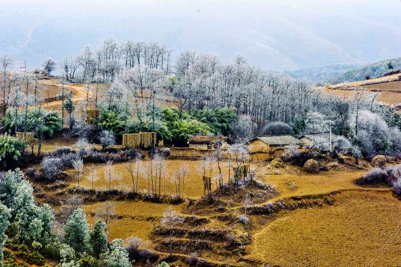 四川大凉山壮美的雾凇奇观