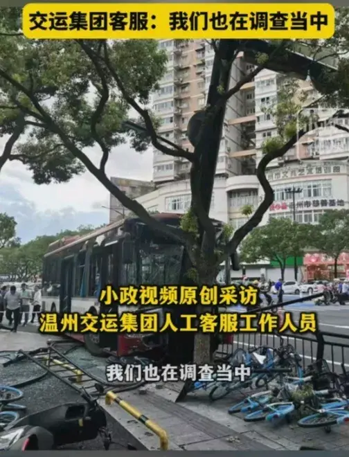 温州一辆公交车撞树，多人受伤！-温州公交车车祸