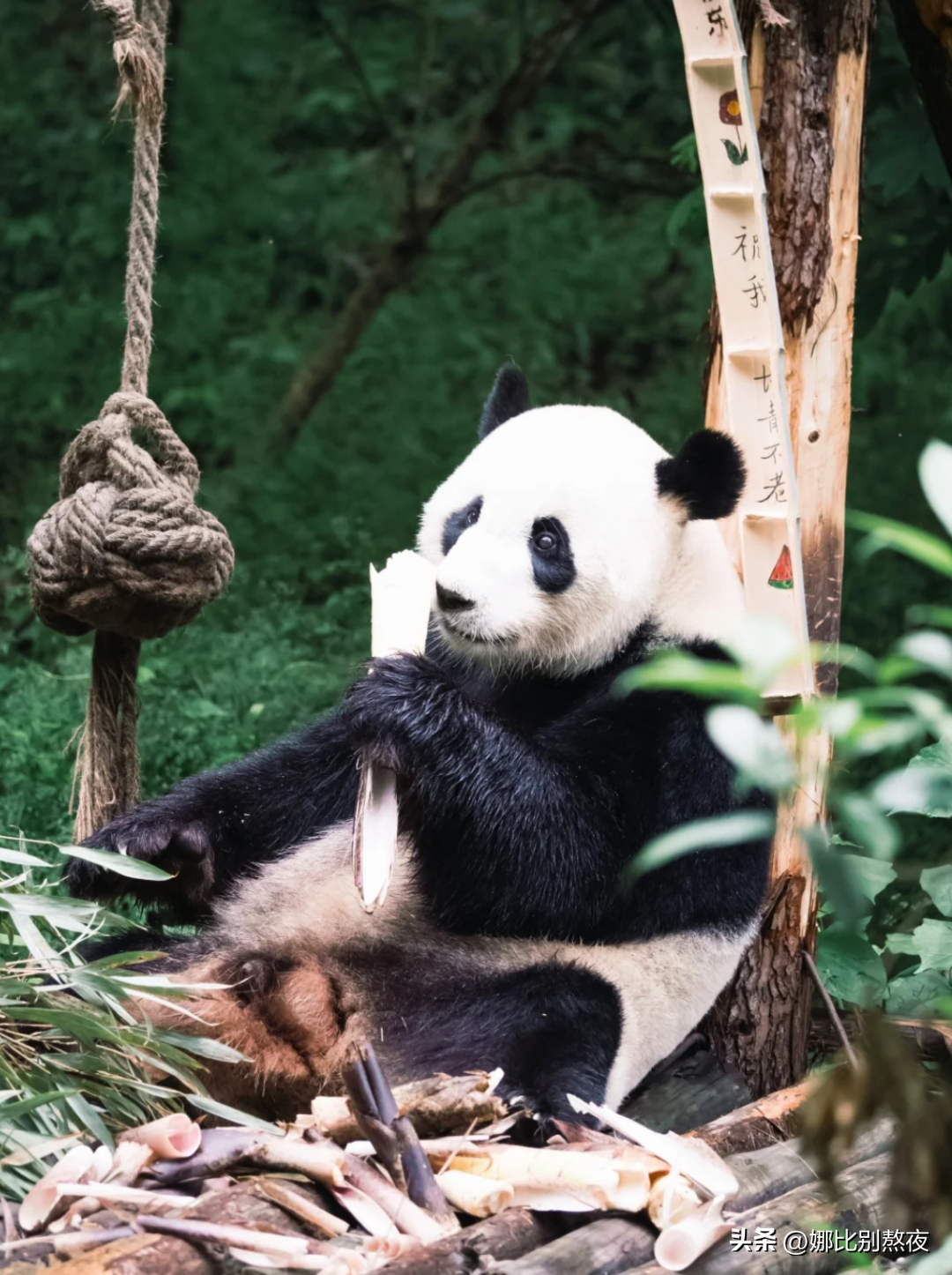 私藏3个国内避暑宝地，享受清凉之旅！-国内避暑景点