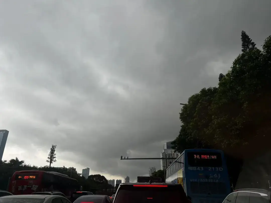 暴雨来了！深圳4预警齐发！全市戒备-深圳发布什么预警