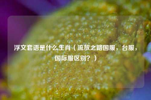 浮文套语是什么生肖（流放之路国服，台服，国际服区别？）